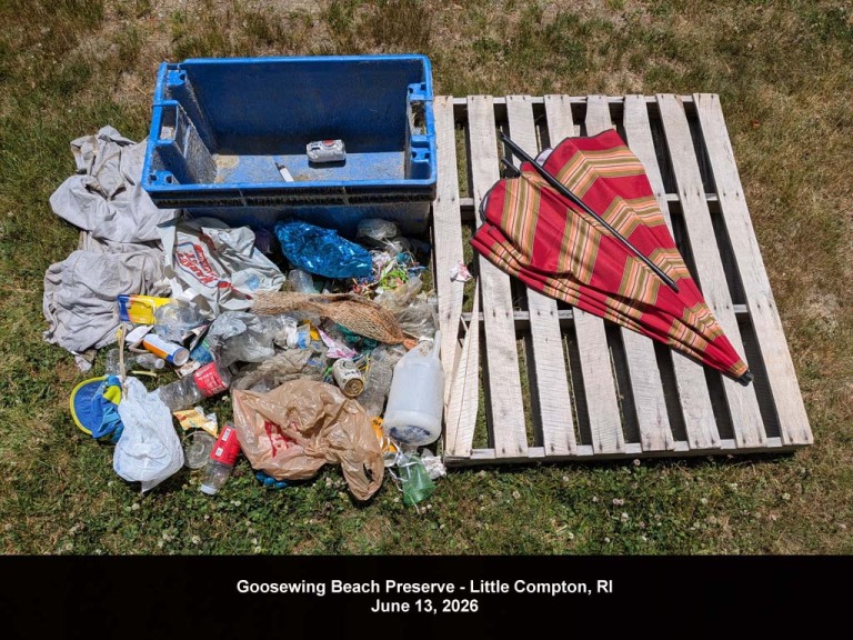 GWT-2026-AK_Goosewing