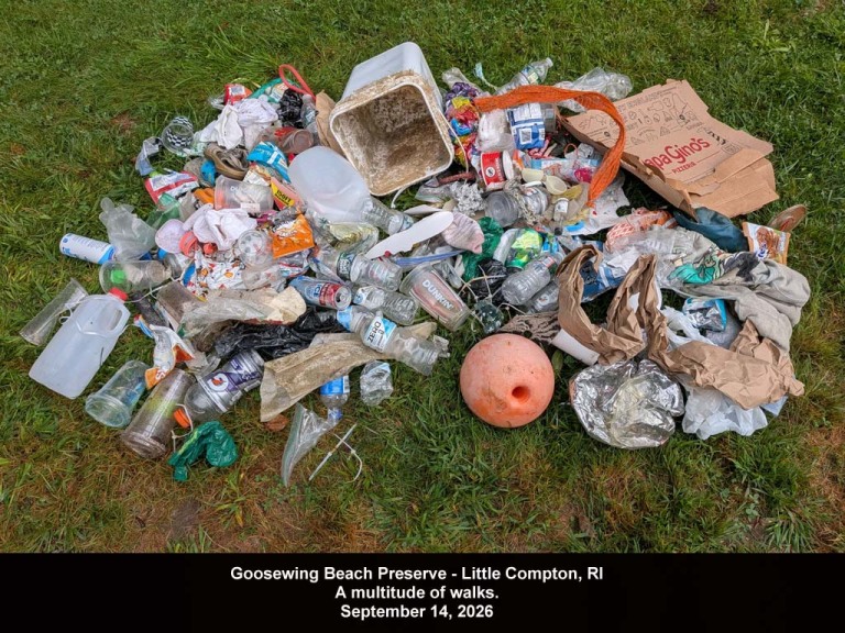 GWT-2026-AU_Goosewing
