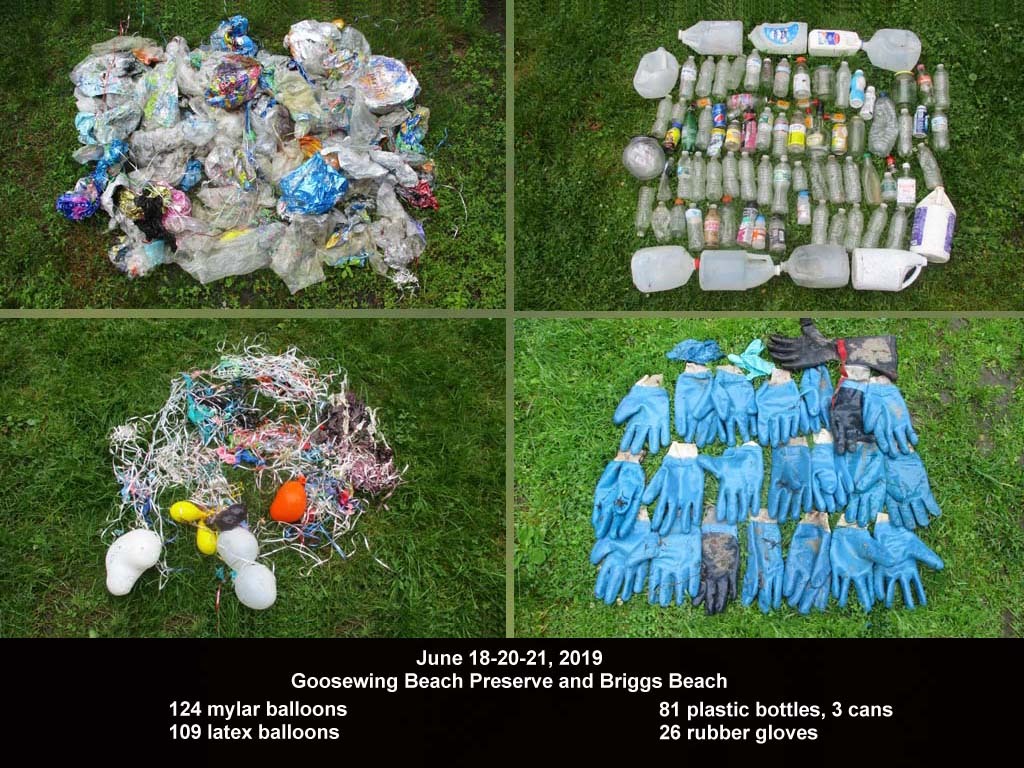 GWT-2019-AF_Goosewing