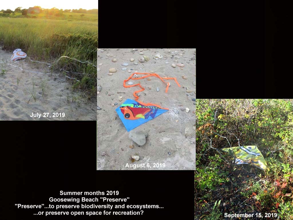 GWT-2019-AM_Goosewing