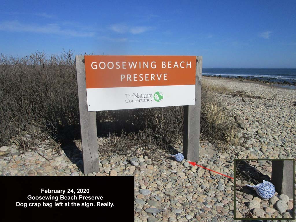 GWT-2020-AE_Goosewing