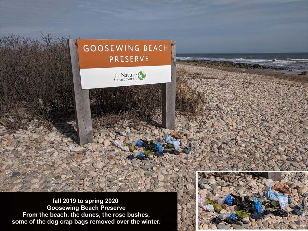 GWT-2020-AI_Goosewing