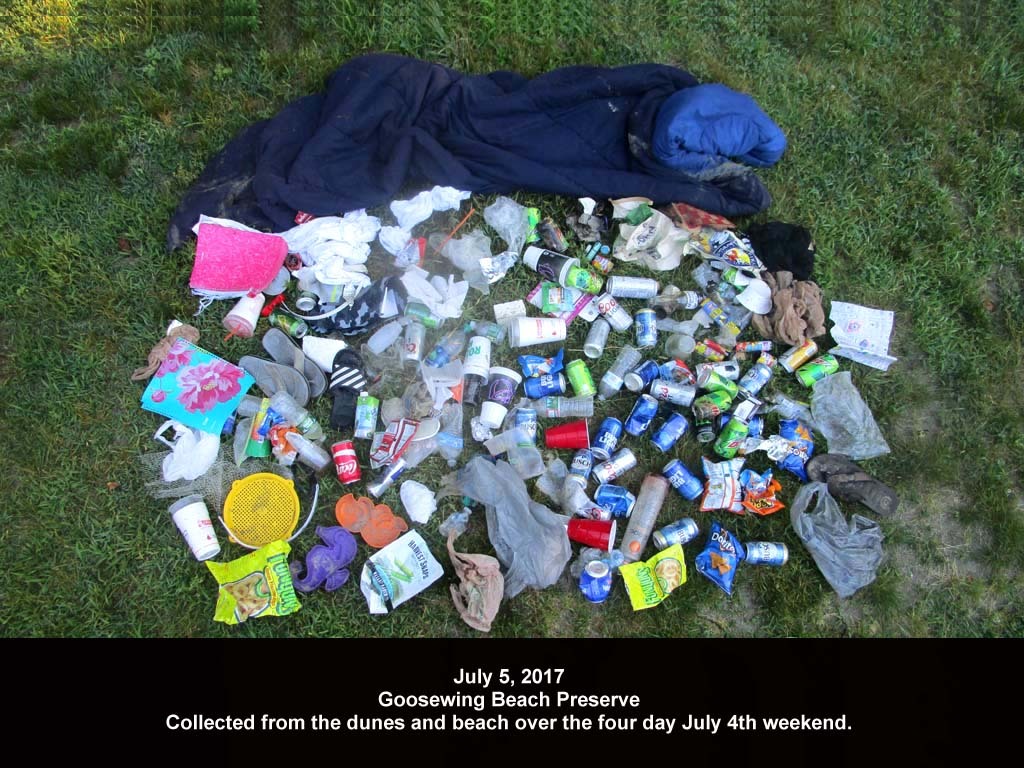GWT-2017-AN_Goosewing