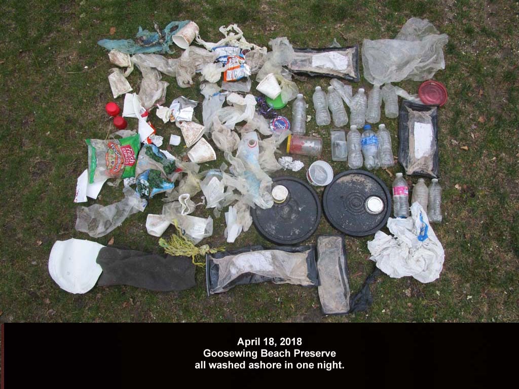 GWT-2018-AD_Goosewing