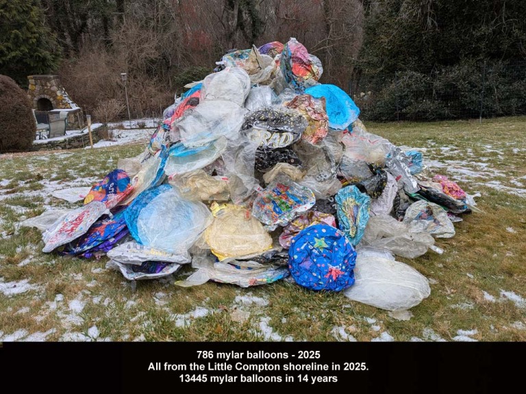 MYLA-AN_Mylar-Balloons