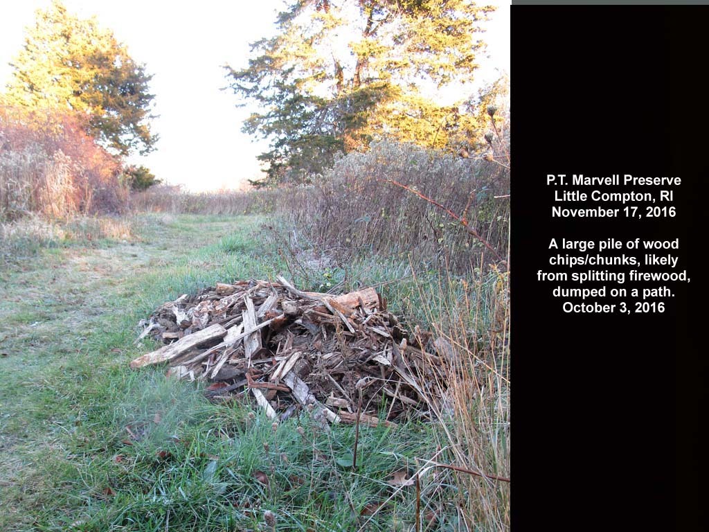 PTMV-AD_PT-Marvell