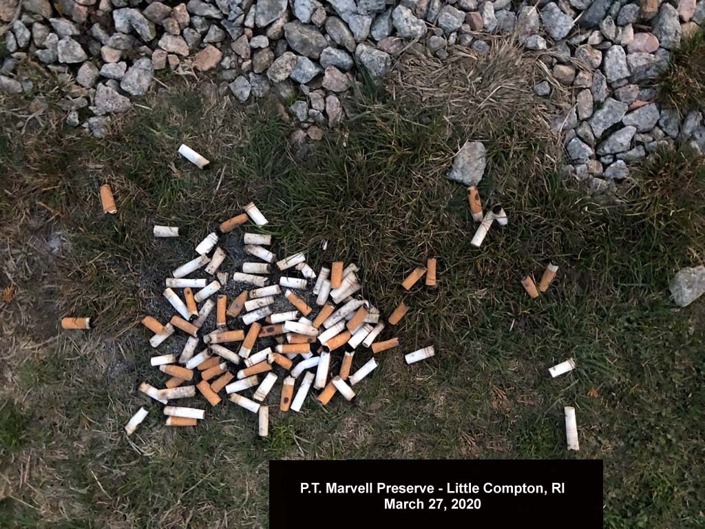 PTMV-AN_PT-Marvell