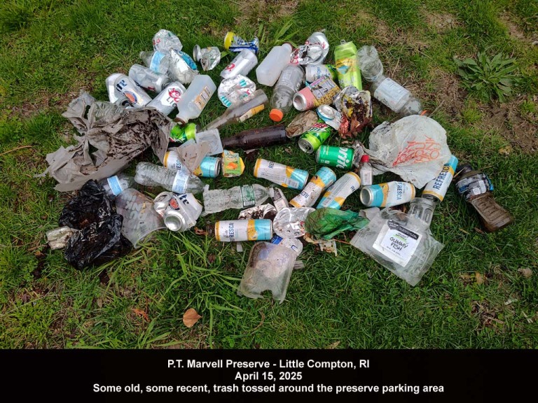 PTMV-AZ_PT-Marvell