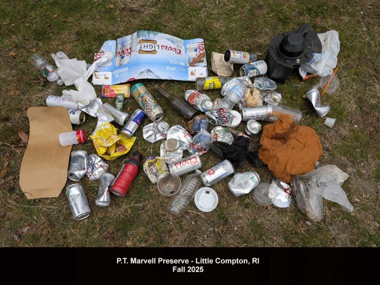 PTMV-BB_PT-Marvell
