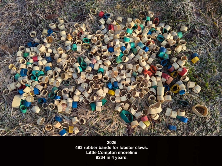 LCBA-AD_Lobster-Claw-Bands
