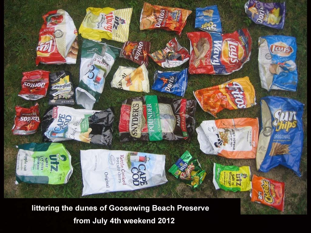 CHIP-AA_Chip-Bags