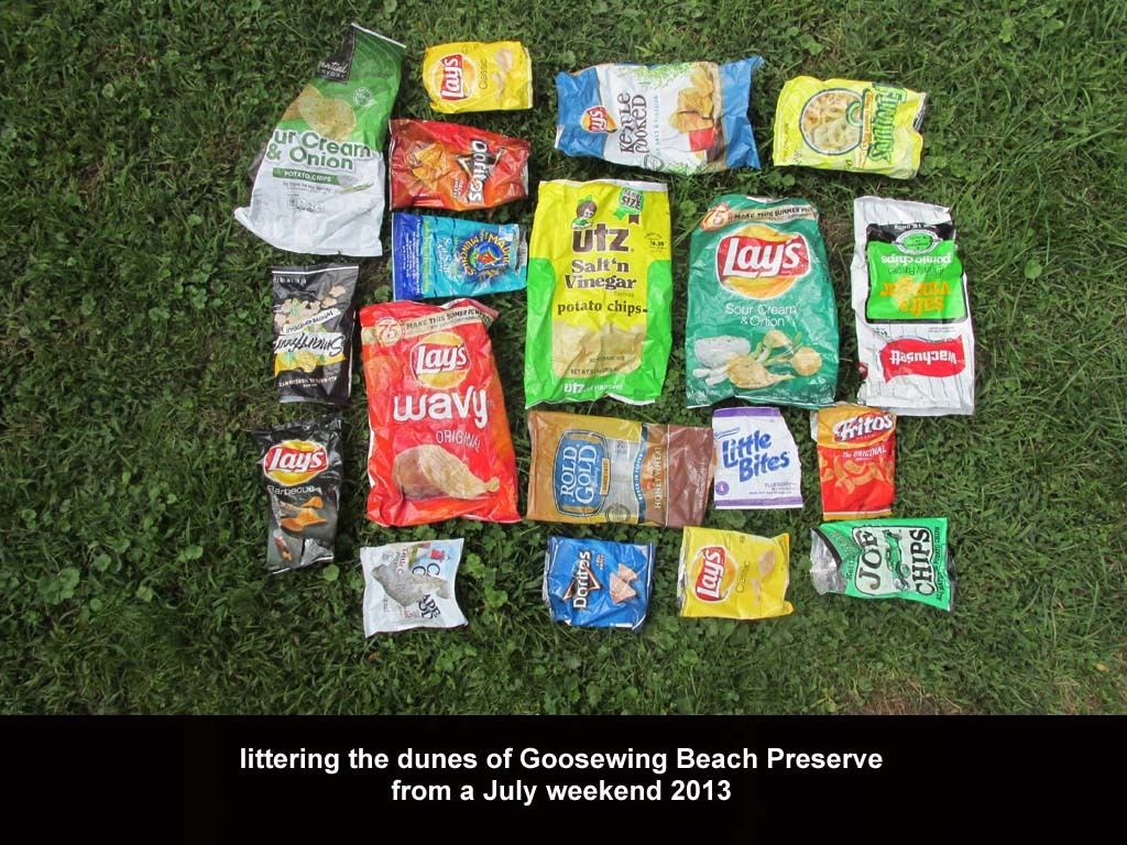 CHIP-AB_Chip-Bags