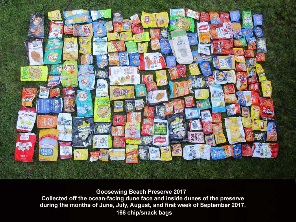 CHIP-AF_Chip-Bags