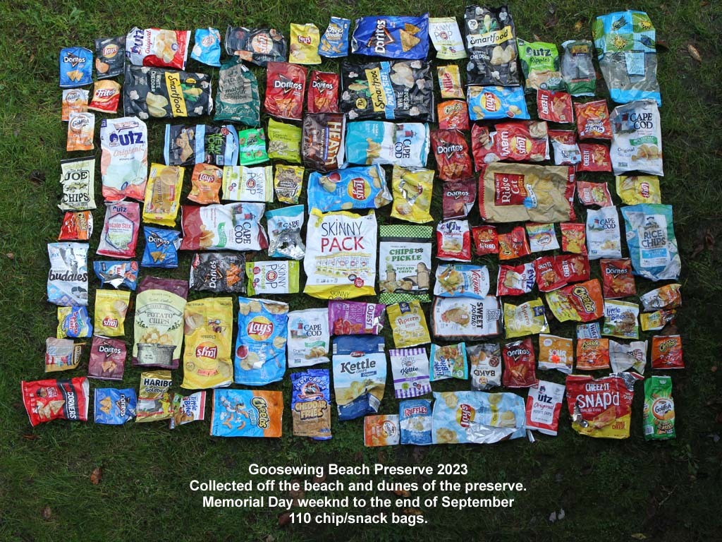 CHIP-AL_Chip-Bags