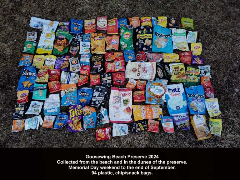 CHIP-AM_Chip-Bags