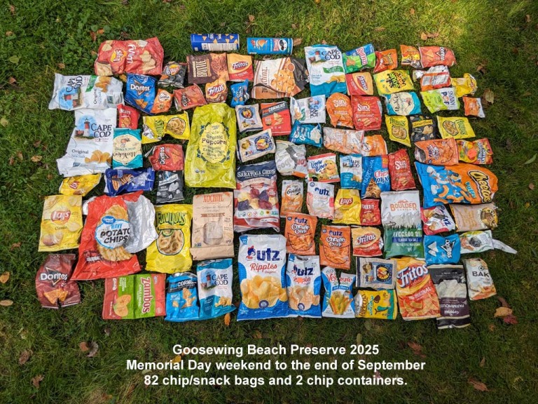 CHIP-AN_Chip-Bags