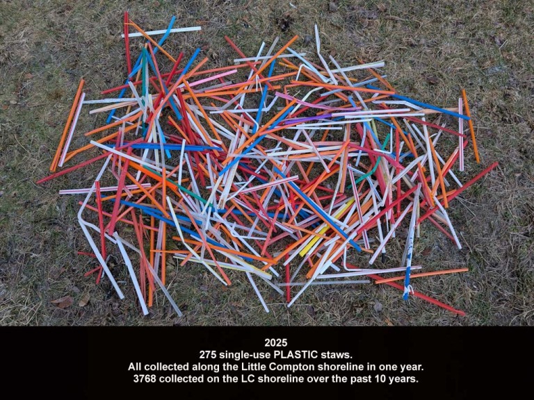 STRW-AJ_Plastic-Straws