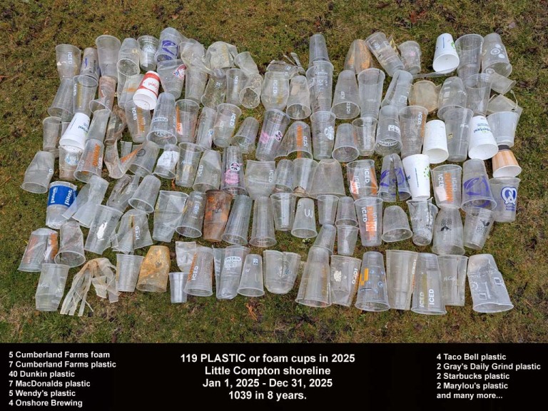PFCU-AH-2025_Plastic-Cups