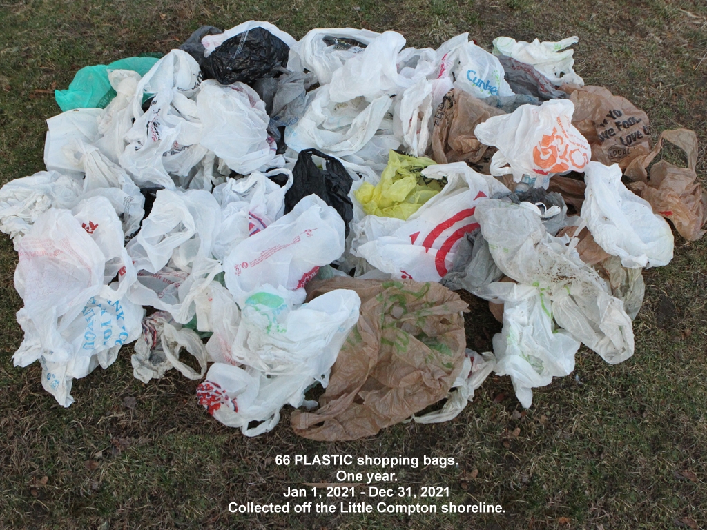 PLBA-AD-2021_Plastic-Bags