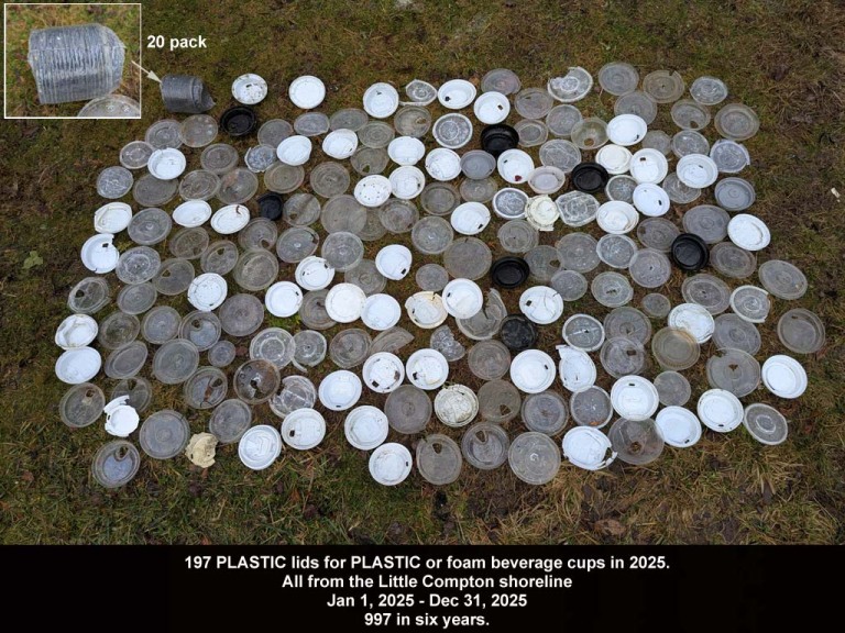 PLLI-AF-2025_Plastic-Lids
