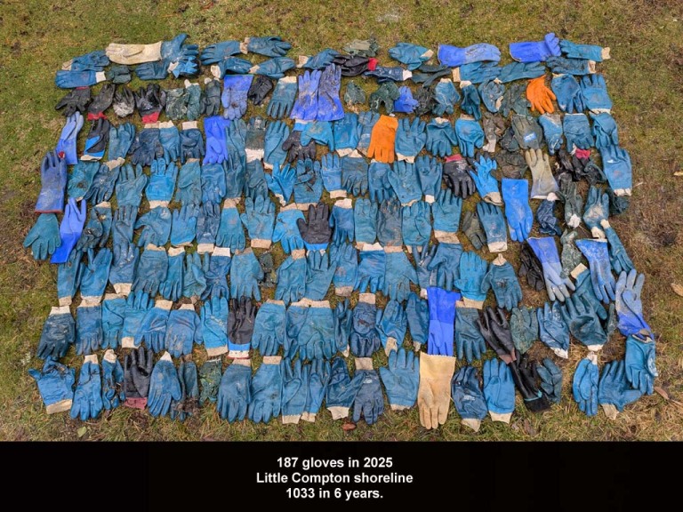 RUGV-AF-2025_Rubbe-Gloves