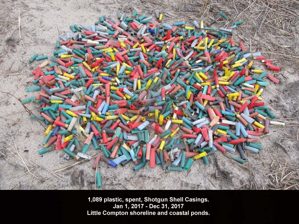 SGSH-AA-2017_Shotgun-Shells
