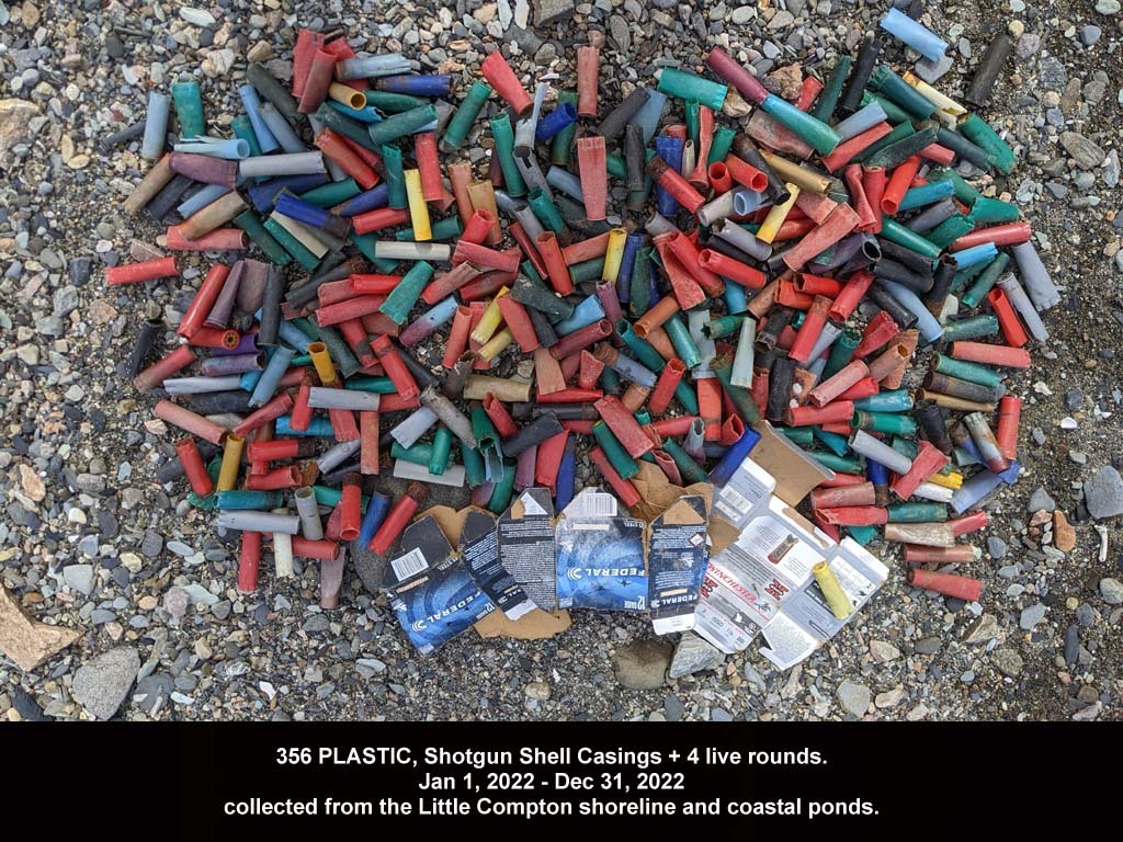 SGSH-AD-2022_Shotgun-Shells