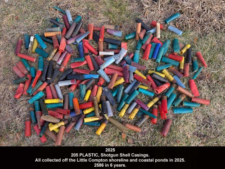 SGSH-AG_Shotgun-Shells